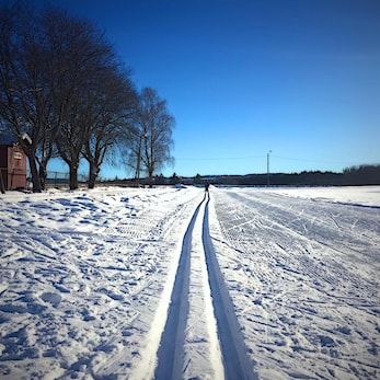 Skikort